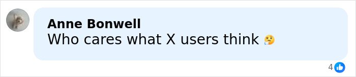 Social media comment questioning the opinions of X users amid Stephen King ICE agent backlash.