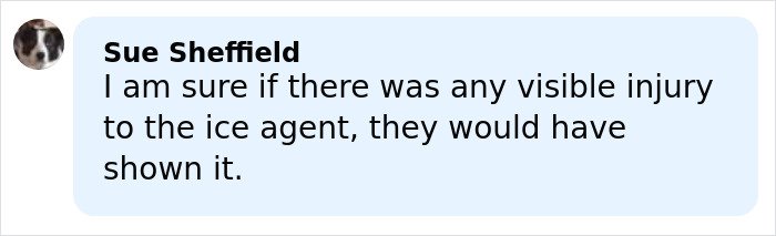 Comment by Sue Sheffield expressing doubt about visible injury to ICE agent amid Stephen King backlash online.