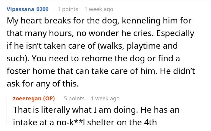 Screenshot of an online discussion about a woman threatening to take her ex’s dog to a shelter and lack of intervention.