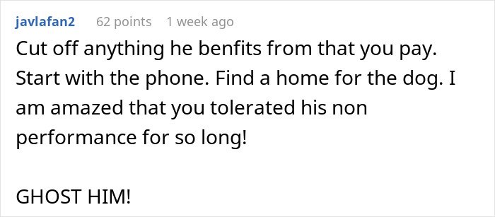 Screenshot of a Reddit comment advising to find a home for the dog and cut off contact with ex who isn’t helping.