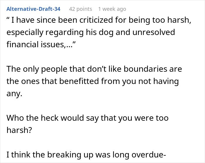 Comment discussing unresolved issues involving ex’s dog and boundaries, reflecting woman can’t handle situation with dog.
