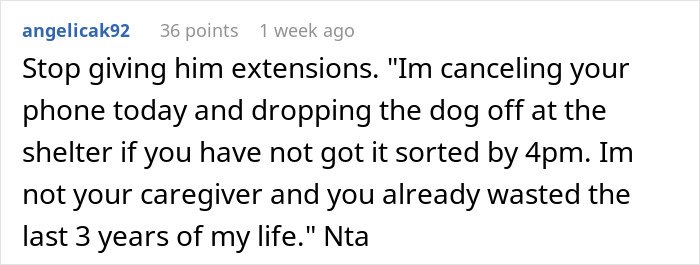 Screenshot of a Reddit comment where a woman threatens to take her ex’s dog to a shelter if unresolved by 4pm.