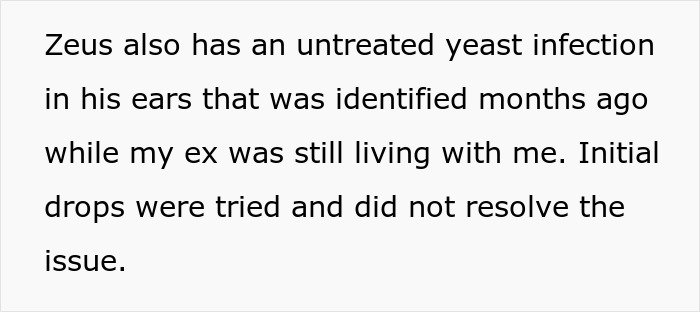 Text excerpt about untreatable yeast infection in dog’s ears, woman struggles with ex’s dog health issue.