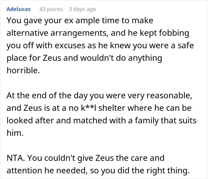 Comment discussing a woman threatening to take her ex’s dog to a shelter due to his inaction and care issues.