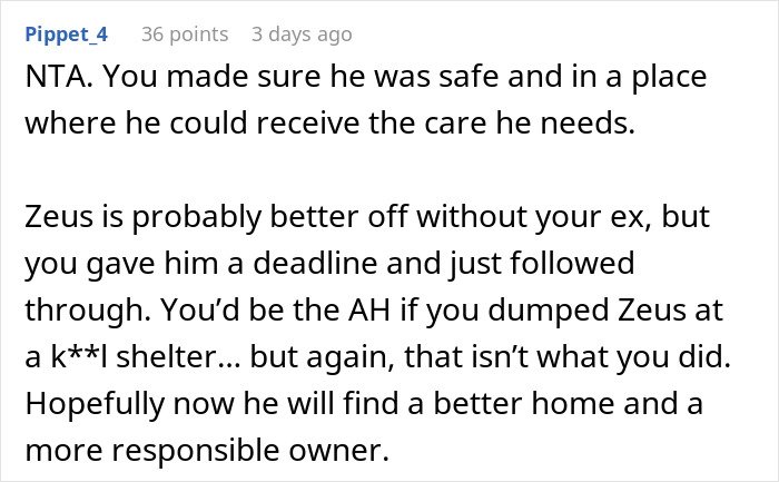 Comment explaining woman can’t handle ex’s dog and threatens shelter, while he remains unresponsive in discussion thread.