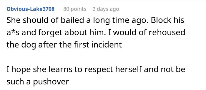 Screenshot of a Reddit comment urging to rehouse the dog after conflict with woman who can't handle ex’s dog.