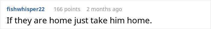 Comment on Reddit by user fishwhisper22, suggesting to take the child home while babysitting, expressing stress and frustration.