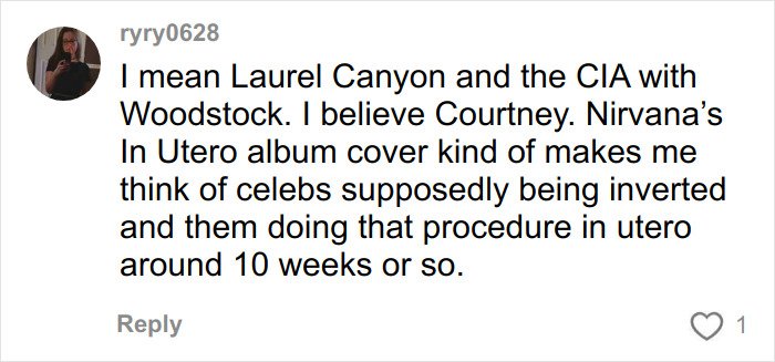Commenter ryry0628 discussing theories about Laurel Canyon, the CIA, and Nirvana’s In Utero album in a social media post.