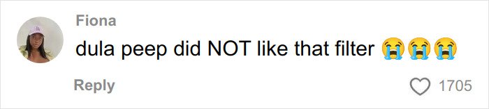 Comment from a user named Fiona reacting with crying emojis to a fan using a filter in a selfie with Dua Lipa.