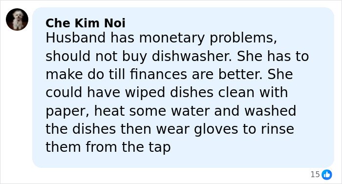 Comment about husband violently reacting after wife buys expensive dishwasher without telling him, reflecting tension in marriage.