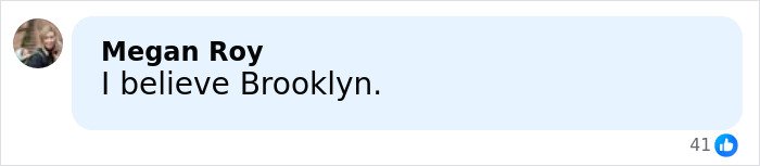 Screenshot of a social media comment by Megan Roy reacting to Brooklyn Beckham’s viral family rift revelation.