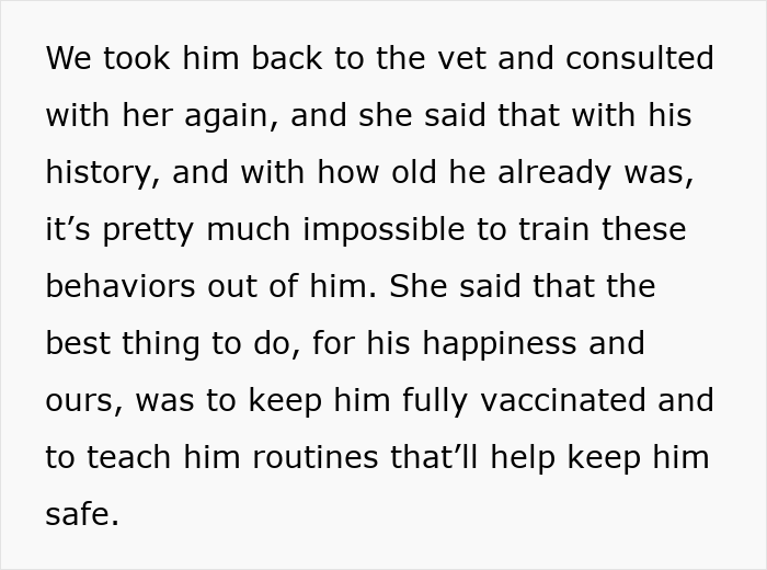 Text excerpt about consulting a vet regarding a cat’s behavior and vaccination for the cat’s safety and happiness.