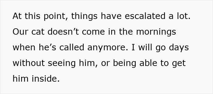 Text excerpt about a person’s cat disappearing for days and not coming inside despite being called.
