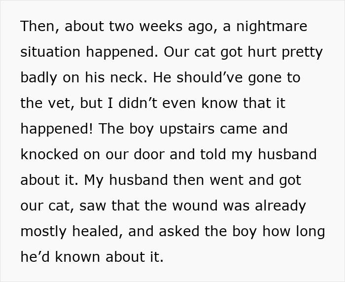 Text excerpt describing a cat’s injury and the neighbor discovering and caring for the cat, related to cat disappearing and neighbor adopting.