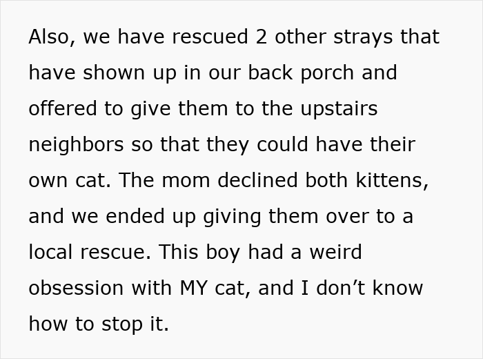 Text discussing rescued stray cats and a neighbor’s unusual obsession with the person’s cat causing it to disappear for days.
