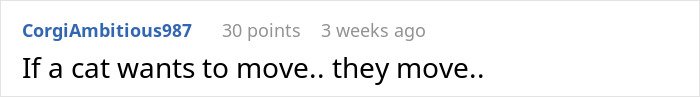 Comment on a community forum discussing a cat disappearing for days, suggesting the cat moves freely as it wants.