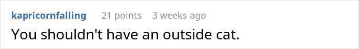 Comment on a forum about a cat that frequently goes missing, hinting at concerns about outdoor cats.