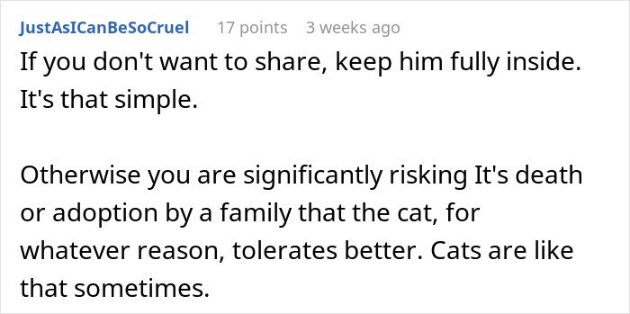 Comment about keeping a cat inside to prevent it from disappearing or being adopted by a neighbor’s family.
