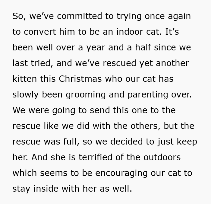 Person’s cat grooming rescued kitten indoors while neighbor’s adoption leads to cat disappearing for days.
