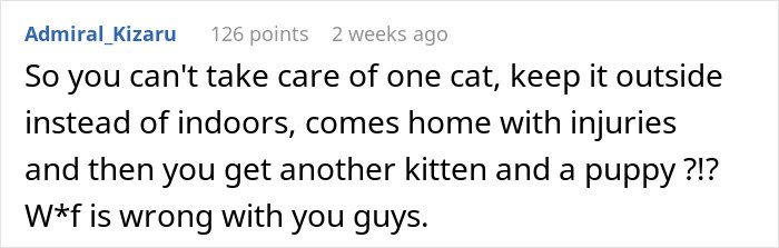 Comment about cat care, injuries, and frustrations over someone adopting another kitten and a puppy outdoors.