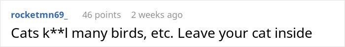 Comment about cats disappearing and advice to keep your cat inside to prevent issues with neighbors.