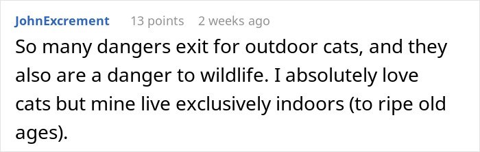 Comment about outdoor cats’ dangers and a personal preference for keeping cats exclusively indoors for safety.
