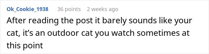 Text comment about a cat that starts disappearing for days, suggesting it may be more of an outdoor cat than a pet.