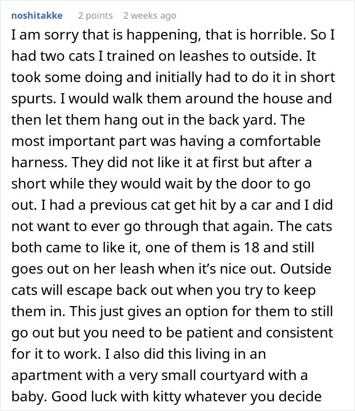 Cat starts disappearing for days, neighbor secretly adopting the cat causing the mystery in the neighborhood.