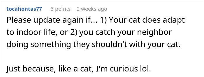 Screenshot of a Reddit comment asking for updates on a cat disappearing for days and a neighbor possibly adopting it.