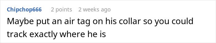 Comment suggesting to put an air tag on a cat’s collar to track where the cat goes during disappearances.