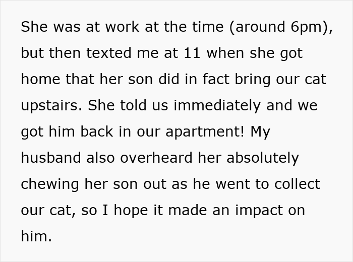 Text message conversation explaining how the neighbor’s son returned the cat after ‘adopting’ it for days.