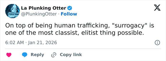 Tweet discussing the performative nature of Meghan Trainor’s pic with secret surrogate baby sparking wide reactions online.