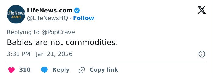 Tweet from LifeNews.com expressing that babies are not commodities amid Meghan Trainor surrogate controversy.