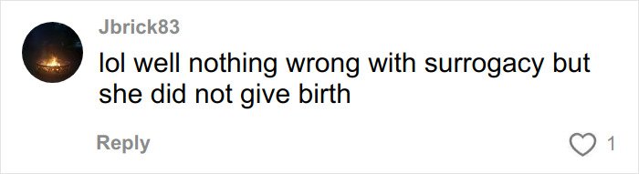 Social media comment addressing Meghan Trainor surrogacy and public reaction to her choice of not giving birth herself.