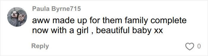 Social media comment praising Meghan Trainor's family for completing with a beautiful baby after using a surrogate.