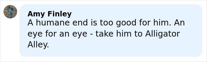 Screenshot of a social media comment referencing Alligator Alley in a discussion about a five-year-old’s chilling last words.