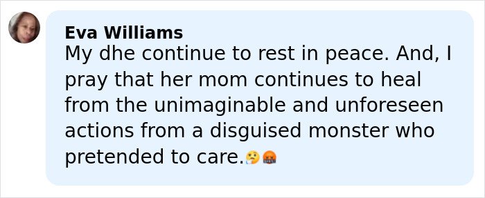 Screenshot of a heartfelt social media comment about a five-year-old’s chilling last words before she disappeared in Alligator Alley.