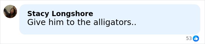 Screenshot of a social media comment referencing a chilling last words about alligators related to Alligator Alley disappearance.