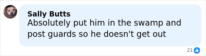 Screenshot of a comment about guarding the swamp related to a five-year-old’s last words before disappearing in Alligator Alley.