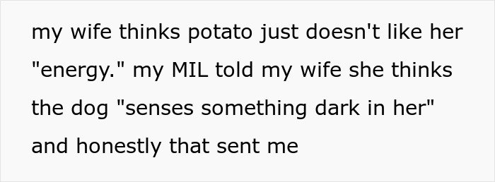 Text conversation about MIL running to the priest after son-in-law’s revenge with humorous energy and dark sensing dog.