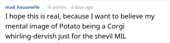Comment on a forum post describing a humorous MIL runs to the priest story about son-in-law’s revenge on her works hilariously well.