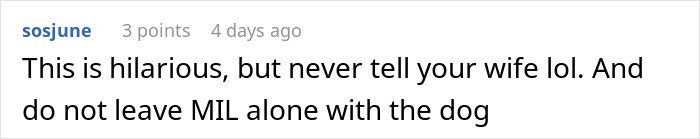 Comment text on a social media post reacting humorously to MIL running to the priest after son-in-law’s revenge.