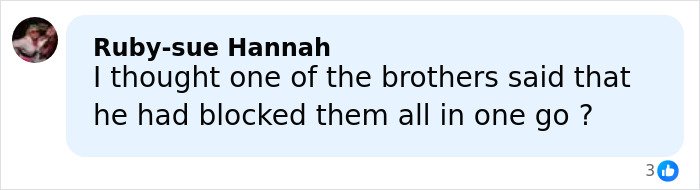 Comment by Ruby-sue Hannah questioning if one brother blocked them all at once, discussing family conflict online.
