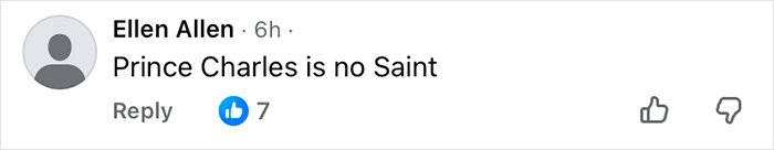 Comment by Ellen Allen stating Prince Charles is no saint with seven likes on a social media post.