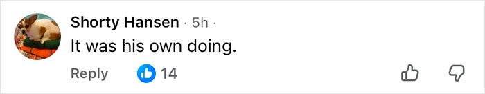 Facebook comment by Shorty Hansen saying It was his own doing, with 14 likes and a dog profile picture.