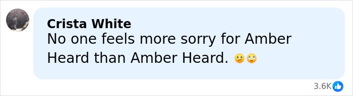 Screenshot of a social media comment expressing criticism about Amber Heard amid defamation suits and Depp trial discussions.