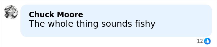 Comment saying the whole thing sounds fishy, highlighting skepticism about Barron Trump’s late-night emergency call.