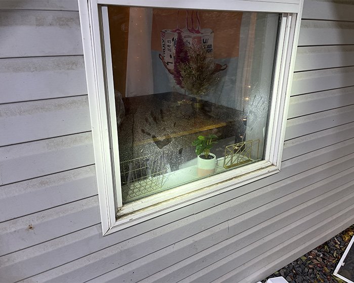 View through a window showing a plant and a handprint on the glass related to disturbing details about victims' final moments.