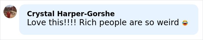 Comment on social media post reading Love this with laughing emoji, mentioning rich people are weird.