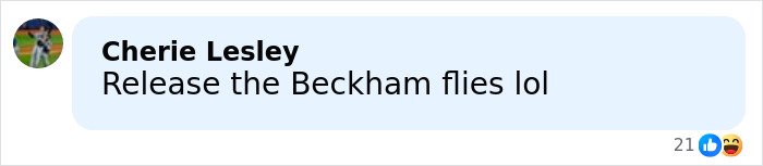 Comment on social media post reading Release the Beckham flies lol with laughing and surprised reaction emojis.